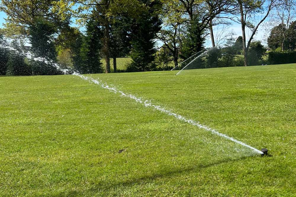 Sprinklers watering a lawn